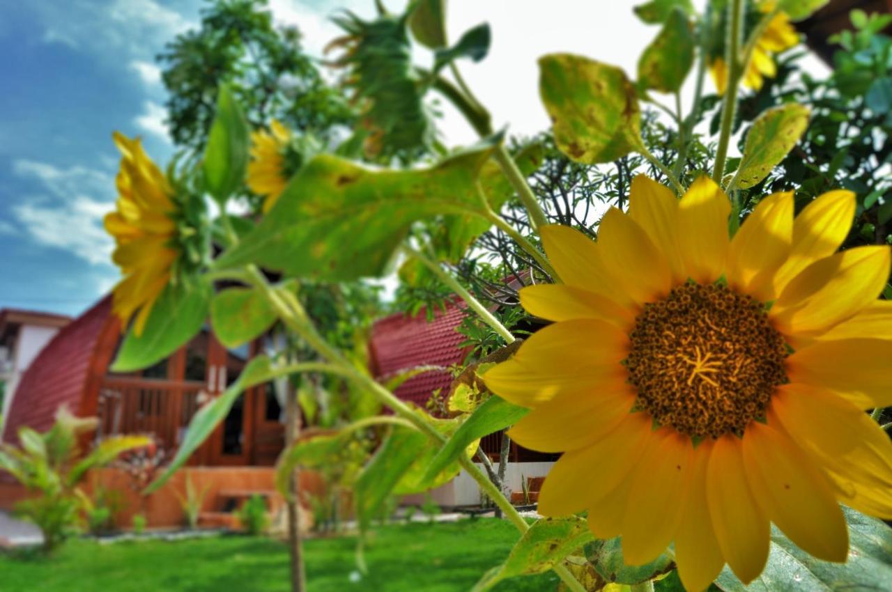 Setilas Bungalows Batununggul Exterior photo